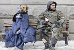 cane_senzatetto