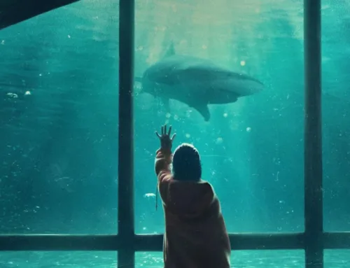Recensione del film “Denti da squalo”